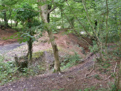Gelligroes level tips, August 2011